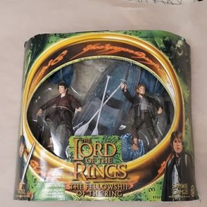 Lord of the rings Frodo and Samwise gamgee action